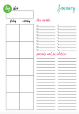 Weekly Planner: Flamingo Society: "So, here's the plan"